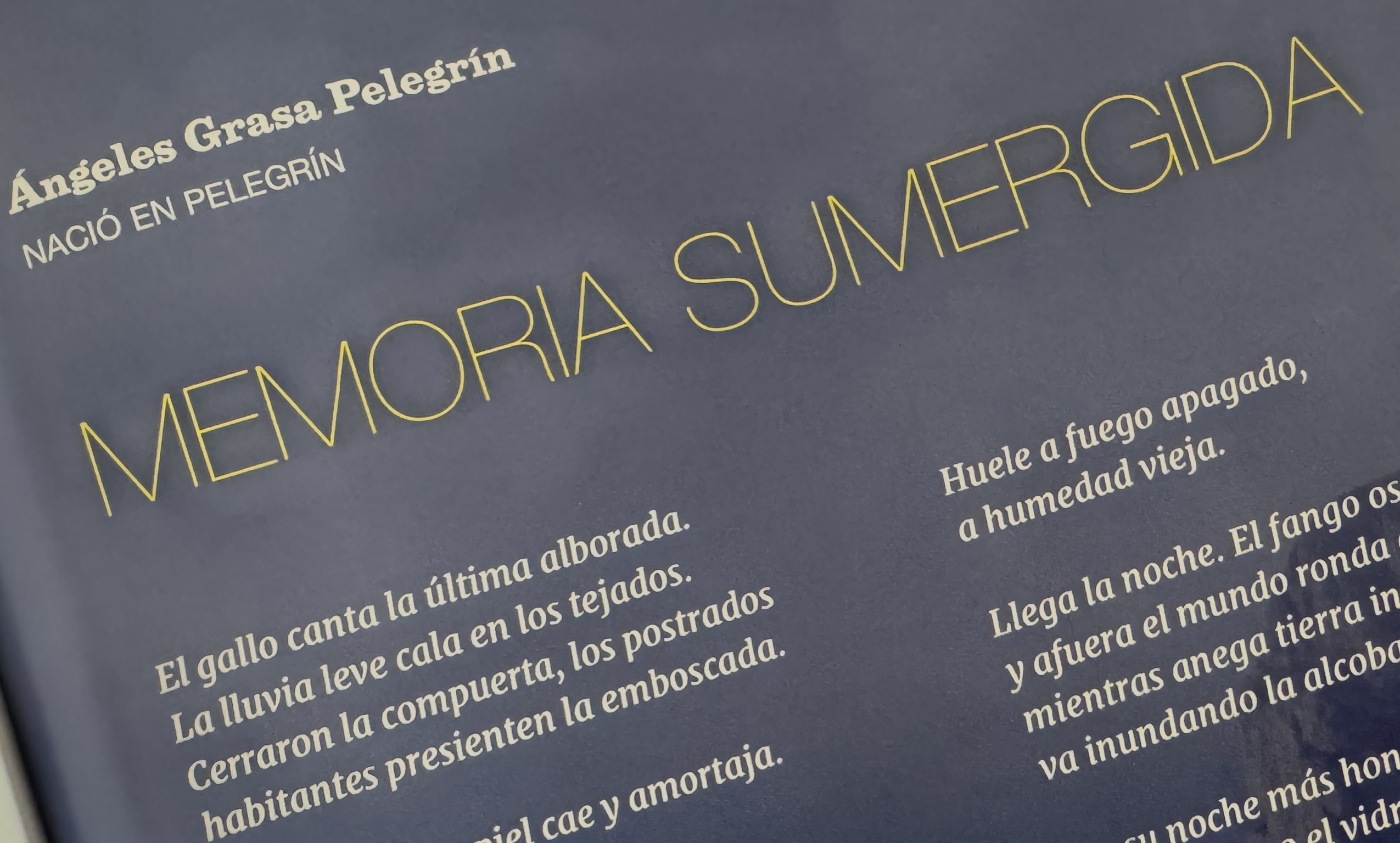 Memoria sumergida